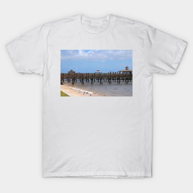 Peaceful Waterfront T-Shirt by Cynthia48